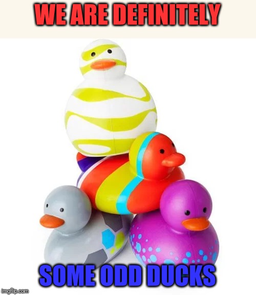 WE ARE DEFINITELY SOME ODD DUCKS | made w/ Imgflip meme maker