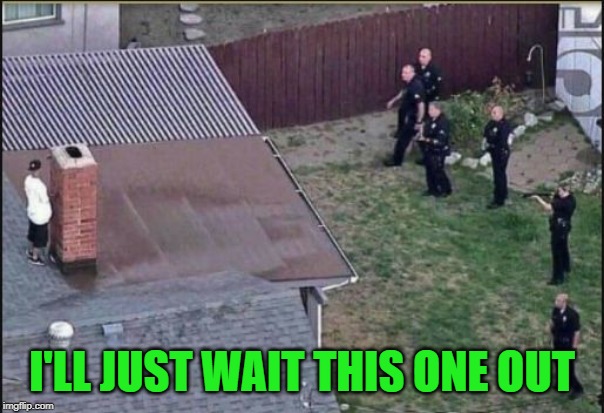 Hiding from police | I'LL JUST WAIT THIS ONE OUT | image tagged in hiding from police | made w/ Imgflip meme maker