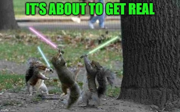 Squirrels With Light Sabers | IT'S ABOUT TO GET REAL | image tagged in squirrels with light sabers | made w/ Imgflip meme maker