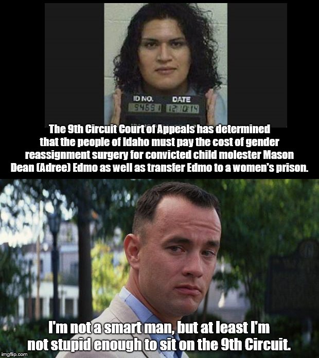 The 9th Circuit Court of Appeals again shows more support for criminal rights than the rights of victims and taxpayers | The 9th Circuit Court of Appeals has determined that the people of Idaho must pay the cost of gender reassignment surgery for convicted child molester Mason Dean (Adree) Edmo as well as transfer Edmo to a women's prison. I'm not a smart man, but at least I'm not stupid enough to sit on the 9th Circuit. | image tagged in forrest gump,mason dean edmo,child molester,ninth circuit court of appeals,failing the victims,idaho | made w/ Imgflip meme maker
