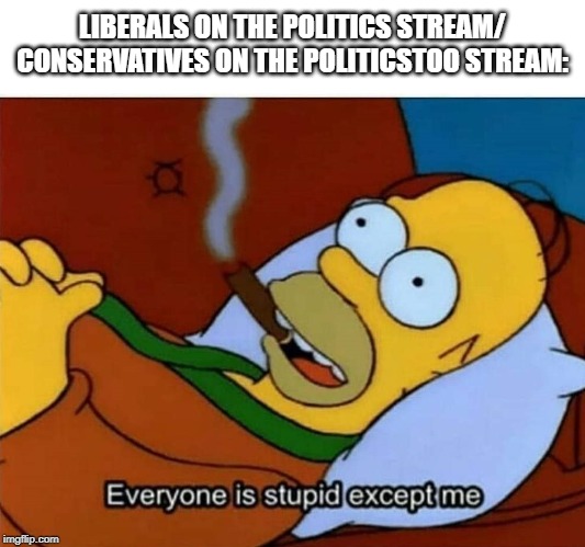 Everyone is stupid except me | LIBERALS ON THE POLITICS STREAM/ CONSERVATIVES ON THE POLITICSTOO STREAM: | image tagged in everyone is stupid except me | made w/ Imgflip meme maker