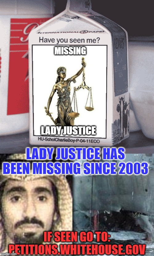 MISSING; LADY JUSTICE; LADY JUSTICE HAS BEEN MISSING SINCE 2003; IF SEEN GO TO: PETITIONS.WHITEHOUSE.GOV | image tagged in missing,justice | made w/ Imgflip meme maker