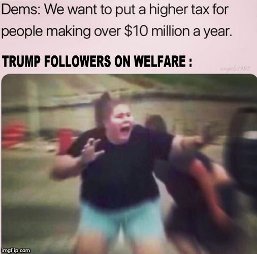 meme redoux | image tagged in trump supporters,welfare,clown car republicans,democrats,taxes,trump | made w/ Imgflip meme maker