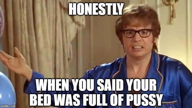 Austin Powers Honestly Meme | HONESTLY WHEN YOU SAID YOUR BED WAS FULL OF PUSSY | image tagged in memes,austin powers honestly | made w/ Imgflip meme maker