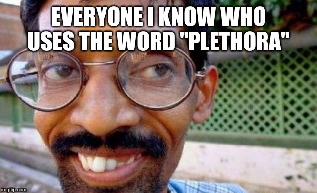 Goofy Indian | EVERYONE I KNOW WHO USES THE WORD "PLETHORA" | image tagged in goofy indian | made w/ Imgflip meme maker