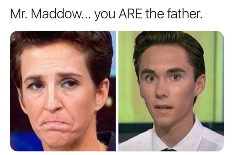 Mr. Maddow, you ARE the father. | image tagged in rachel maddow,rachel madcow,mad cow,david hogg,triggered liberal,triggered tranny | made w/ Imgflip meme maker