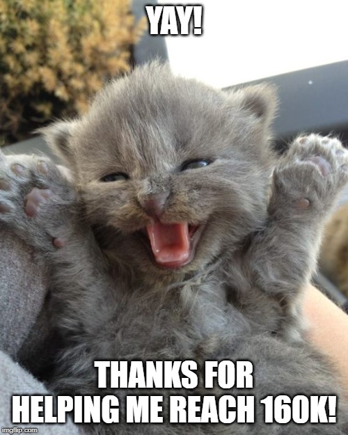 Obviously couldn't of done it without you guys. ;) | YAY! THANKS FOR HELPING ME REACH 160K! | image tagged in yay kitty,celebration | made w/ Imgflip meme maker