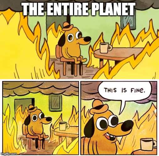 amazon burns, climate change, yeah whatever... | THE ENTIRE PLANET | image tagged in this is fine dog,doomed,climate | made w/ Imgflip meme maker