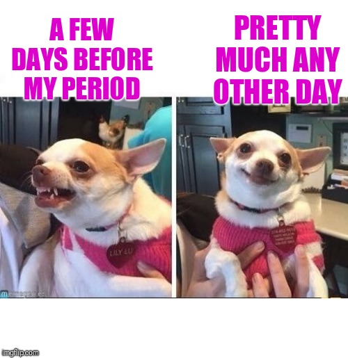How do you girls deal with PMS? I feel like strangling everyone but due to societal norms have to restrain myself, what to do. | PRETTY MUCH ANY OTHER DAY; A FEW DAYS BEFORE MY PERIOD | image tagged in angry happy chihuahua,period,pms,am i the only one around here | made w/ Imgflip meme maker