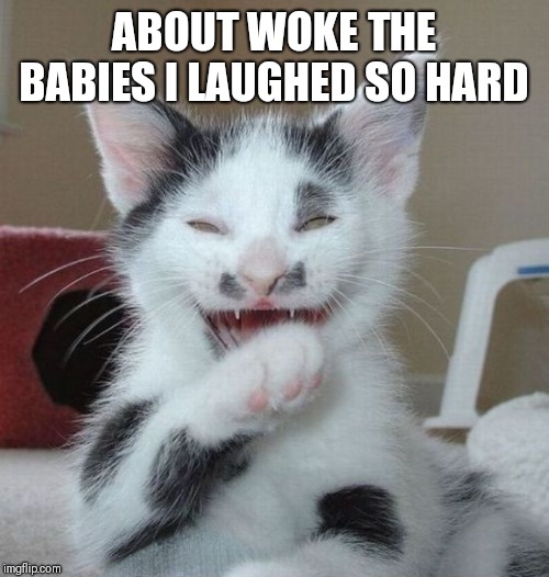 Laughing Cat 2 | ABOUT WOKE THE BABIES I LAUGHED SO HARD | image tagged in laughing cat 2 | made w/ Imgflip meme maker