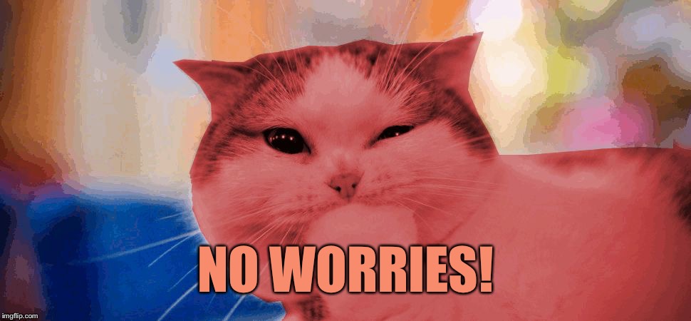RayCat laughing | NO WORRIES! | image tagged in raycat laughing | made w/ Imgflip meme maker