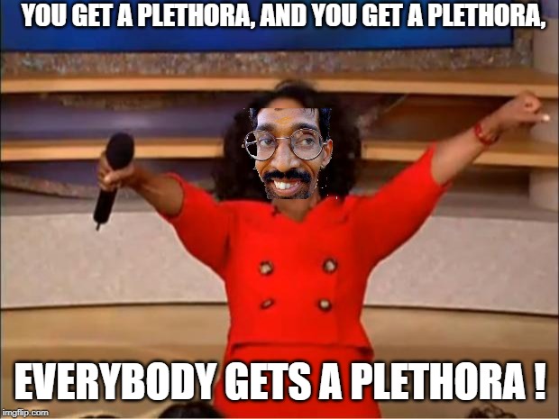 Oprah You Get A Meme | YOU GET A PLETHORA, AND YOU GET A PLETHORA, EVERYBODY GETS A PLETHORA ! | image tagged in memes,oprah you get a | made w/ Imgflip meme maker