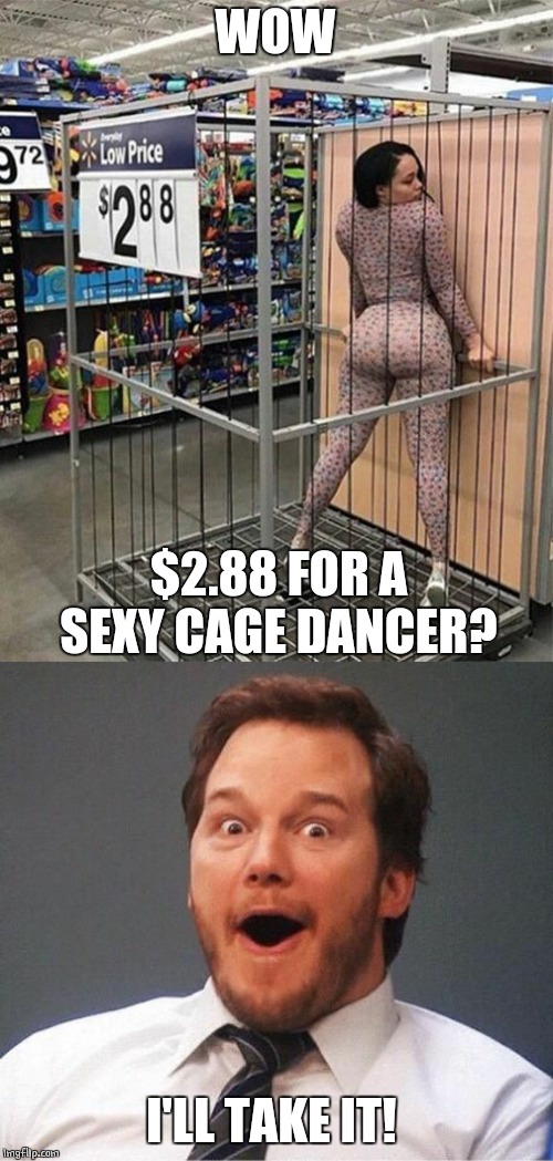 THANK WAL-MART | WOW; $2.88 FOR A SEXY CAGE DANCER? I'LL TAKE IT! | image tagged in excited,walmart,sexy dancer | made w/ Imgflip meme maker