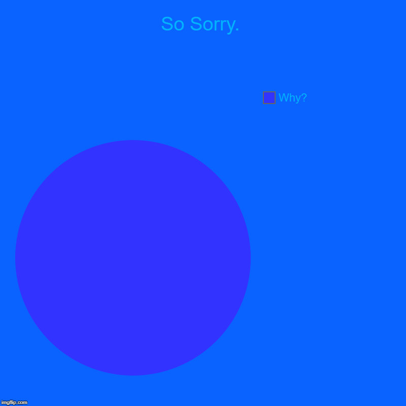 So Sorry. | Why? | image tagged in charts,pie charts | made w/ Imgflip chart maker