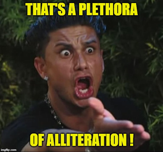 situation | THAT'S A PLETHORA OF ALLITERATION ! | image tagged in situation | made w/ Imgflip meme maker