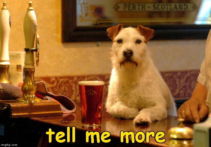 dog at bar | tell me more | image tagged in dog at bar | made w/ Imgflip meme maker