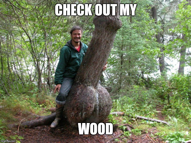 WOODY | CHECK OUT MY; WOOD | image tagged in tree,woody | made w/ Imgflip meme maker