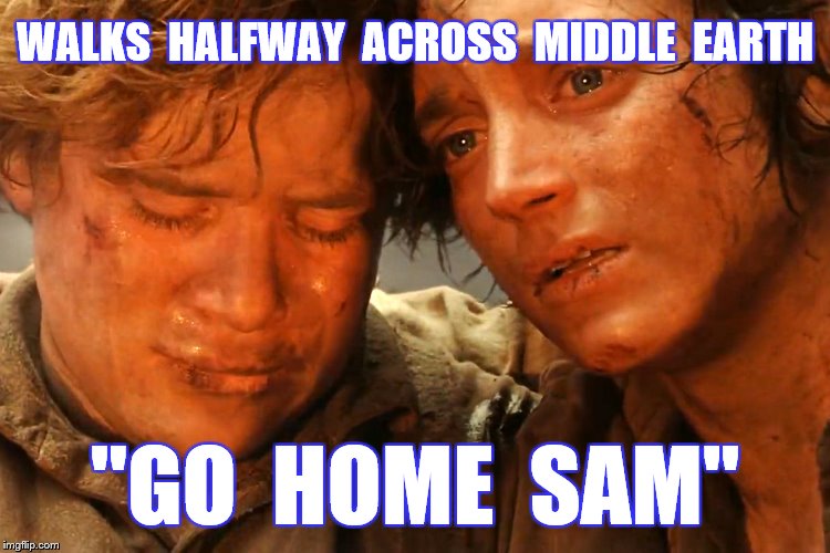 WALKS  HALFWAY  ACROSS  MIDDLE  EARTH "GO  HOME  SAM" | made w/ Imgflip meme maker