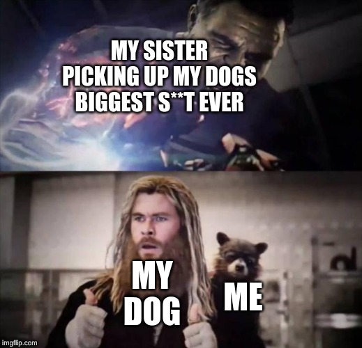 Impressed Thor | MY SISTER PICKING UP MY DOGS BIGGEST S**T EVER; MY DOG; ME | image tagged in impressed thor | made w/ Imgflip meme maker