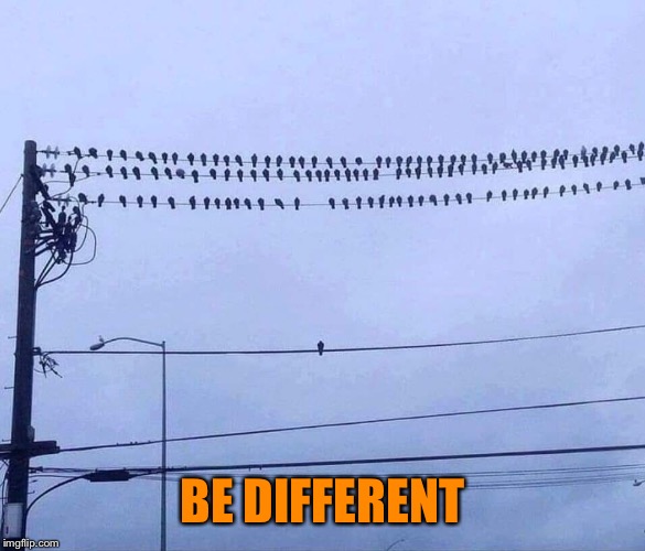 Stand out | BE DIFFERENT | image tagged in positive,memes,different,unique | made w/ Imgflip meme maker
