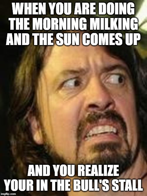 Yuck | WHEN YOU ARE DOING THE MORNING MILKING AND THE SUN COMES UP AND YOU REALIZE YOUR IN THE BULL'S STALL | image tagged in yuck | made w/ Imgflip meme maker