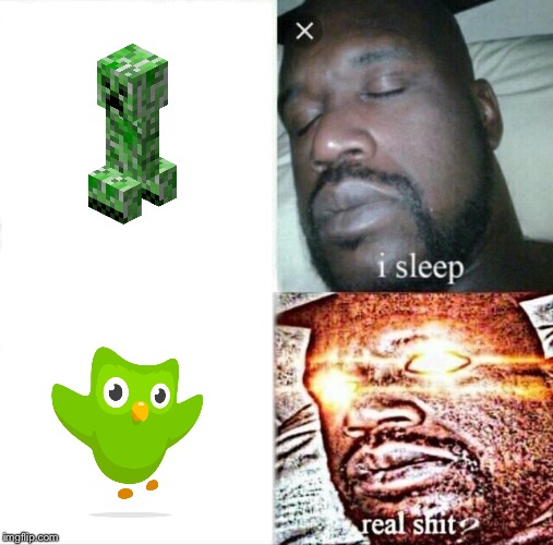 Sleeping Shaq Meme | image tagged in memes,sleeping shaq | made w/ Imgflip meme maker