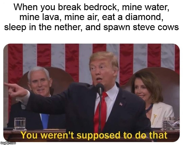 This is illegal | When you break bedrock, mine water, mine lava, mine air, eat a diamond, sleep in the nether, and spawn steve cows | image tagged in you weren't supposed to do that,minecraft | made w/ Imgflip meme maker