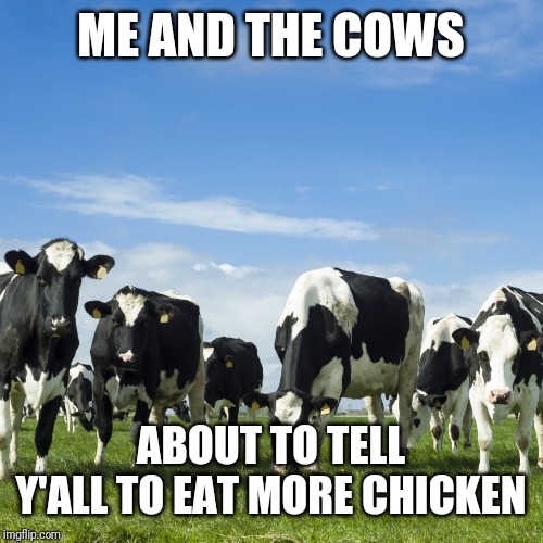 Just a bit late, but my closing piece: Me And The Boys Week - a Nixie.Knox and CravenMoordik event (Aug 19-25) | ME AND THE COWS; ABOUT TO TELL Y'ALL TO EAT MORE CHICKEN | image tagged in memes,funny,chick fil a,me and the boys week,nixieknox,cravenmoordik | made w/ Imgflip meme maker