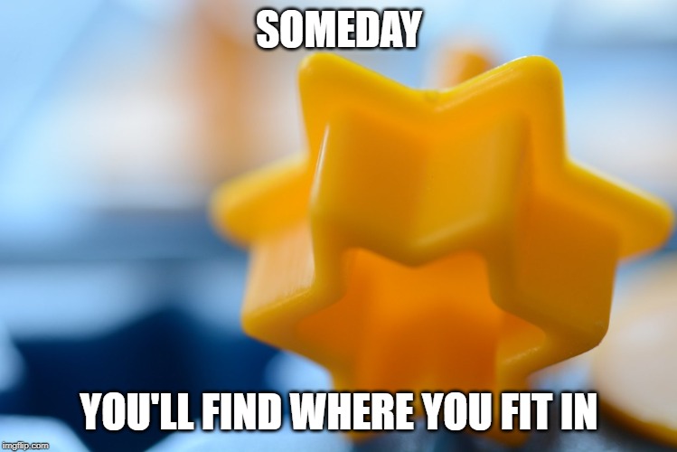 wrong hole | SOMEDAY; YOU'LL FIND WHERE YOU FIT IN | image tagged in wrong hole | made w/ Imgflip meme maker