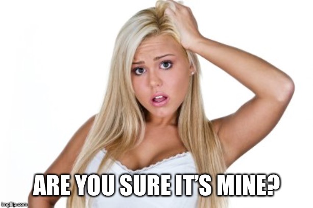 Dumb Blonde | ARE YOU SURE IT’S MINE? | image tagged in dumb blonde | made w/ Imgflip meme maker