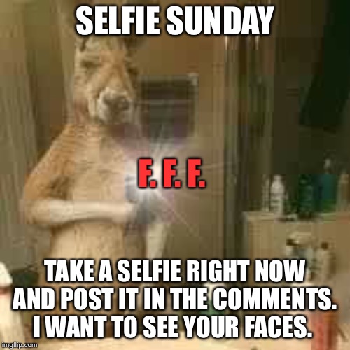 Selfie Wednesday  | SELFIE SUNDAY; F. F. F. TAKE A SELFIE RIGHT NOW AND POST IT IN THE COMMENTS.  I WANT TO SEE YOUR FACES. | image tagged in selfie wednesday | made w/ Imgflip meme maker