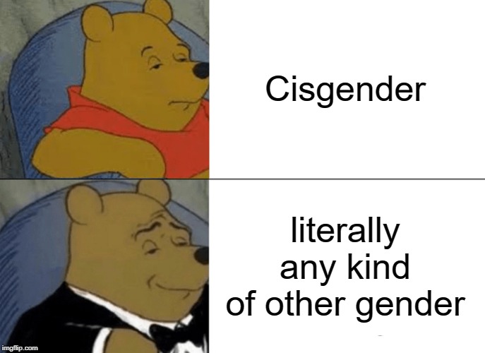 Tuxedo Winnie The Pooh Meme | Cisgender literally any kind of other gender | image tagged in memes,tuxedo winnie the pooh | made w/ Imgflip meme maker