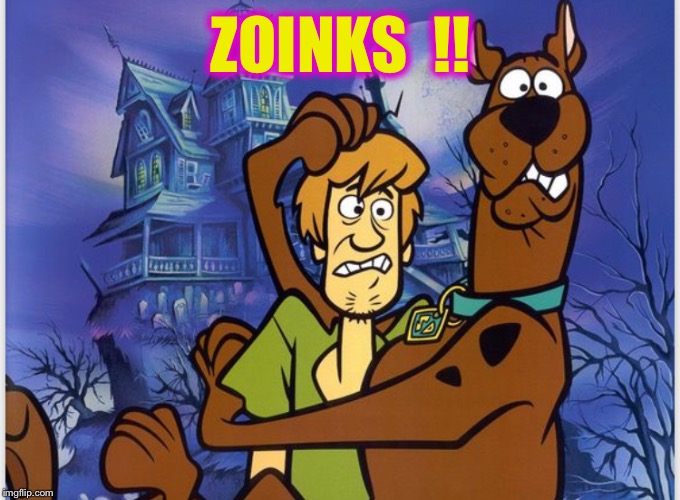 ZOINKS  !! | made w/ Imgflip meme maker