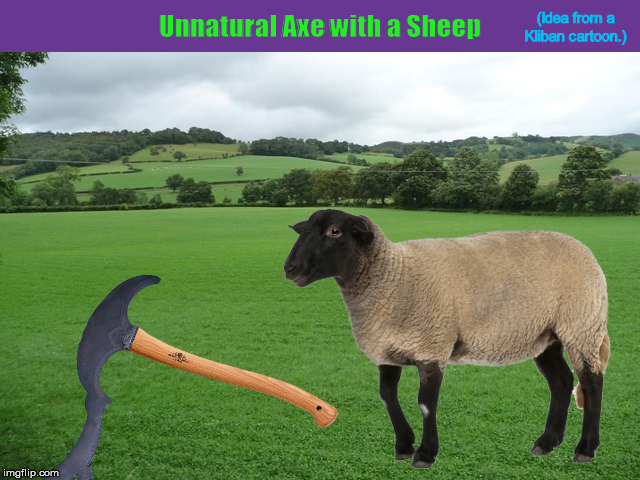 Unnatural Axe with a Sheep | image tagged in unnatural axe,unnatural acts,sheep,funny,memes,kliban | made w/ Imgflip meme maker