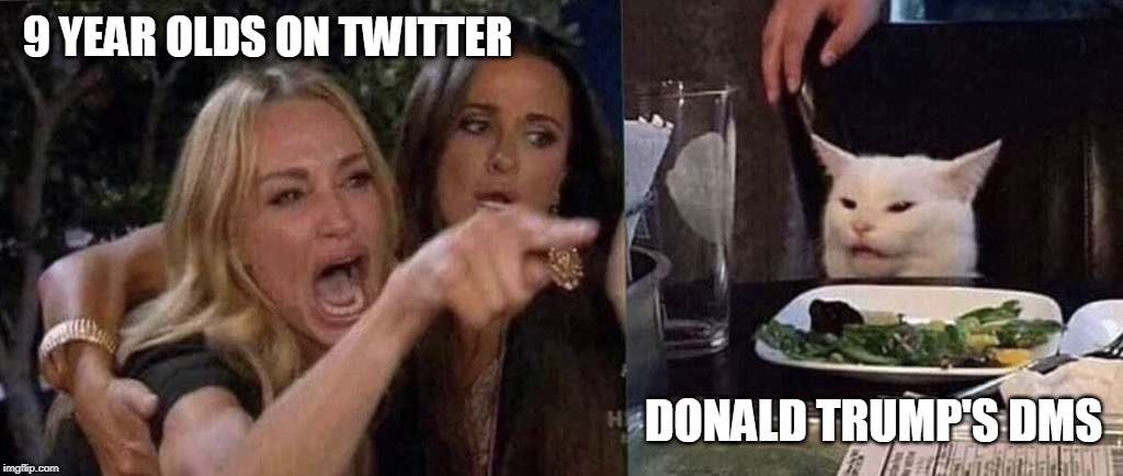 woman yelling at cat | 9 YEAR OLDS ON TWITTER; DONALD TRUMP'S DMS | image tagged in woman yelling at cat | made w/ Imgflip meme maker