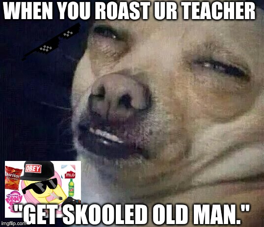 Too Dank | WHEN YOU ROAST UR TEACHER; "GET SKOOLED OLD MAN." | image tagged in too dank | made w/ Imgflip meme maker