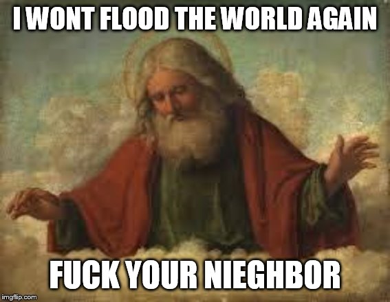 god | I WONT FLOOD THE WORLD AGAIN F**K YOUR NIEGHBOR | image tagged in god | made w/ Imgflip meme maker