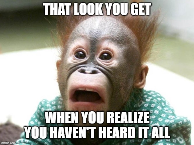 heard it all | THAT LOOK YOU GET; WHEN YOU REALIZE YOU HAVEN'T HEARD IT ALL | image tagged in animals | made w/ Imgflip meme maker
