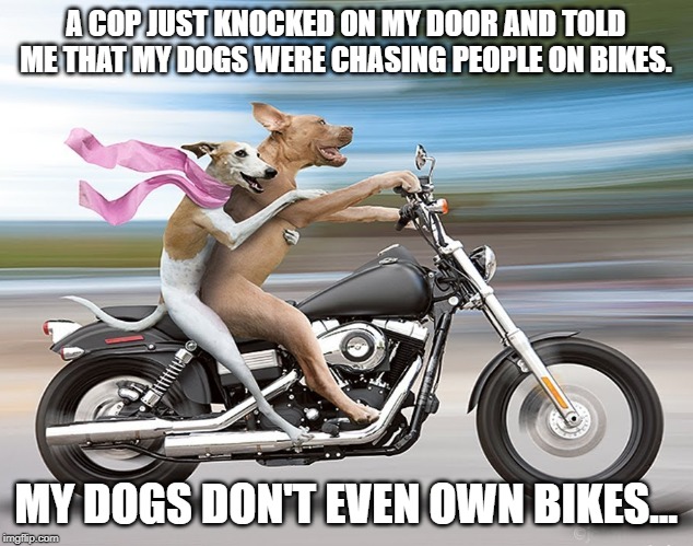 Bike chasing | A COP JUST KNOCKED ON MY DOOR AND TOLD ME THAT MY DOGS WERE CHASING PEOPLE ON BIKES. MY DOGS DON'T EVEN OWN BIKES... | image tagged in sport | made w/ Imgflip meme maker