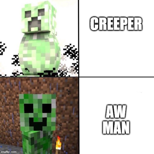 Creeper | CREEPER; AW  MAN | image tagged in creeper | made w/ Imgflip meme maker