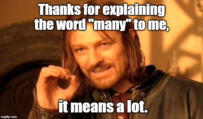 One Does Not Simply Meme | Thanks for explaining the word "many" to me, it means a lot. | image tagged in memes,one does not simply | made w/ Imgflip meme maker