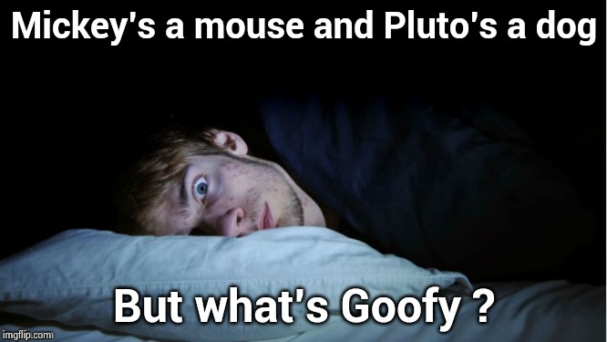 Night Terror | Mickey's a mouse and Pluto's a dog But what's Goofy ? | image tagged in night terror | made w/ Imgflip meme maker