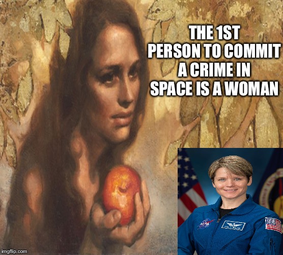 THE 1ST PERSON TO COMMIT A CRIME IN SPACE IS A WOMAN | image tagged in space | made w/ Imgflip meme maker