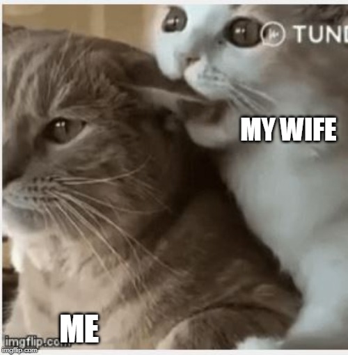 MY WIFE ME | made w/ Imgflip meme maker
