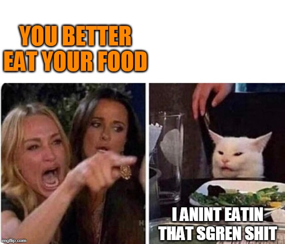 NO MEAT? | YOU BETTER EAT YOUR FOOD; I ANINT EATIN THAT SGREN SHIT | image tagged in lady screams at cat,cats,memes | made w/ Imgflip meme maker
