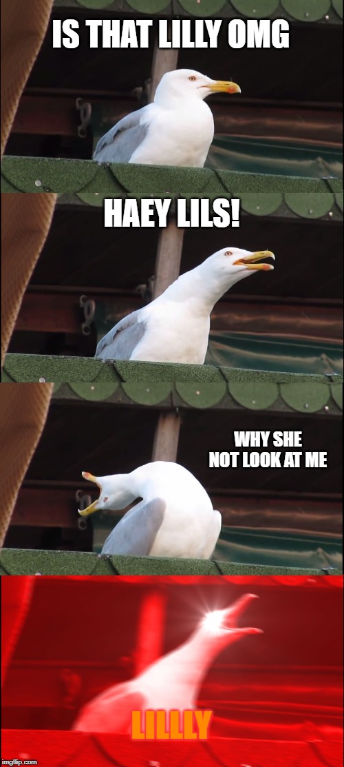 Inhaling Seagull Meme | IS THAT LILLY OMG; HAEY LILS! WHY SHE NOT LOOK AT ME; LILLLY | image tagged in memes,inhaling seagull | made w/ Imgflip meme maker