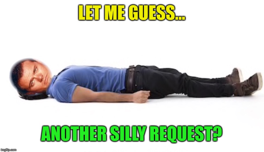 LET ME GUESS... ANOTHER SILLY REQUEST? | made w/ Imgflip meme maker
