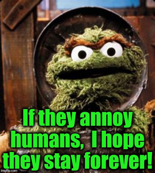 Oscar the Grouch | If they annoy humans,  I hope they stay forever! | image tagged in oscar the grouch | made w/ Imgflip meme maker
