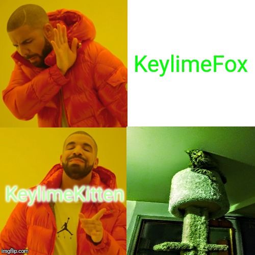 KeylimeKitten | KeylimeFox; KeylimeKitten | image tagged in drake hotline bling | made w/ Imgflip meme maker