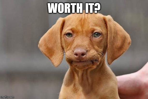 Dissapointed puppy | WORTH IT? | image tagged in dissapointed puppy | made w/ Imgflip meme maker
